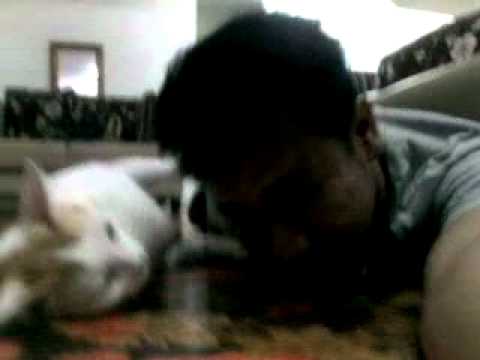 Kucing Hero Dan Papa nyer { kakimotong dot com }