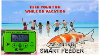 SETTING AF-2019B SMART FEEDER EXPLAINED IN DETAIL