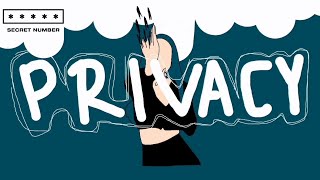 Secret Number (시크릿넘버) - Privacy [Dance Animation]