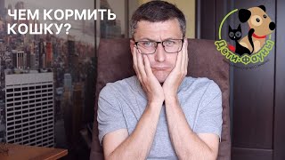 А можно ли кошке давать кефир, йогурт, сметану, сливки? Кисломолочные продукты 8 вопросов