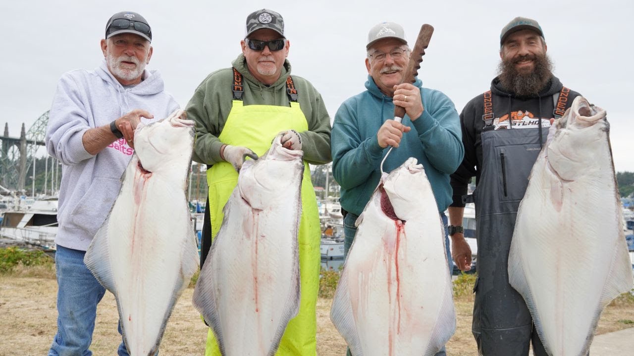 Massive Halibut Caught Here Every Time