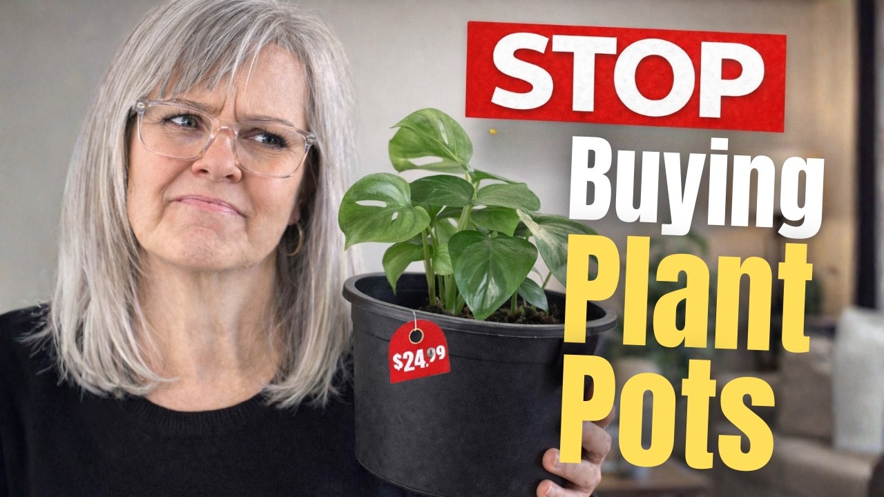 19 Thrift Store Finds That Make Better Planters