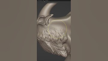 Old dragon #dragon #shorts #timelapse