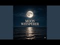Relax Music Quiet Data Stream