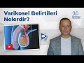 Varikosel belirtileri nelerdir  profdr abdullah armaan