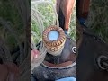 novillo remachao #shortvideo #caballos #viral