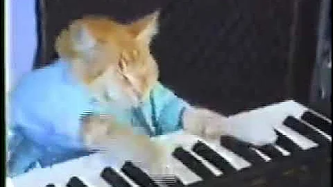 Keyboard Cat 1 Hour (but its only the first part)