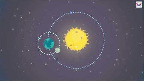 বিভিন্ন প্রকারের গতি | SSC Physics | Chapter 2 Lesson 2 | Shikho