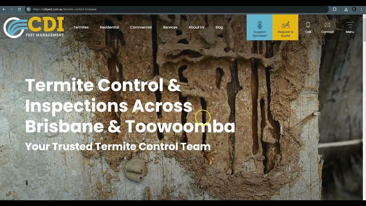 CDI Pest Management QLD Pest Control Toowoomba AU YouTube