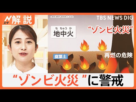 岡山の山林火災は「鎮圧」も…再燃する“ゾンビ火災”の危険 岩手・大船渡