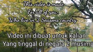 Golden October - Musim Gugur di Jerman (in English \u0026 Bahasa Indonesia)