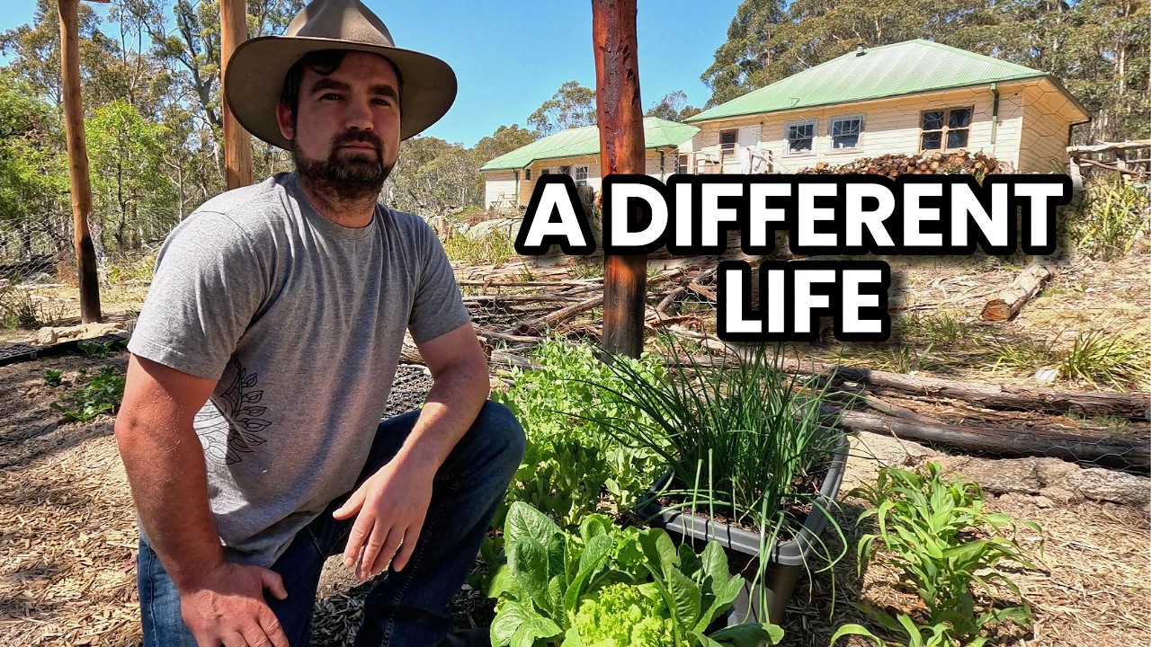 From the City to the Homestead - My First 6 Months