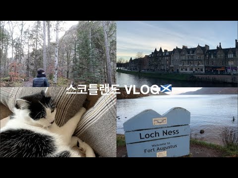 스코틀랜드 VLOG | 스코틀랜드에서 먹고 쉬고 힐링하기♥️🏴󠁧󠁢󠁳󠁣󠁴󠁿