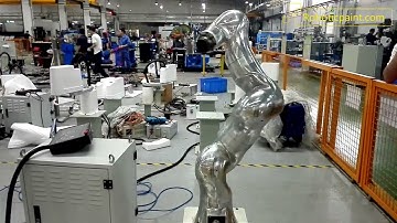 Stainless Steel Smart Robot with 9 Axis Motion