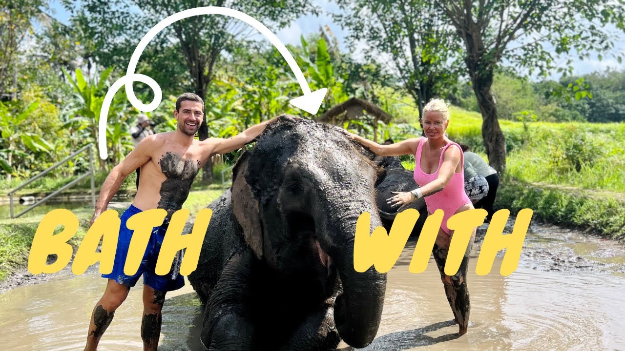 TOOK A BATH WITH RESCUE ELEPHANTS ..