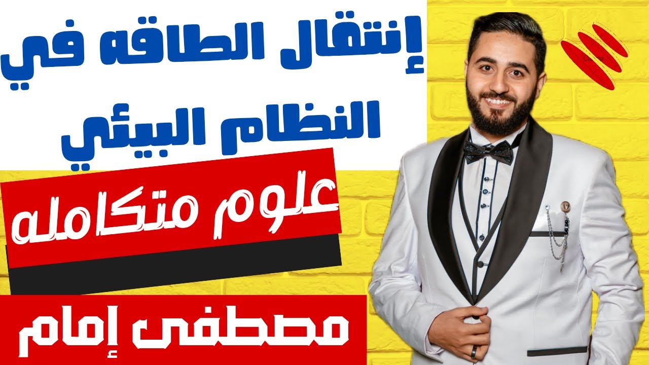 إنتقال الطاقه في النظام البيئي | أول درس علوم متكامله ترم تاني & شرح ولا أروع | مصطفى إمام