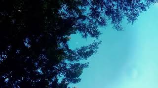 Tri - Ost - Que Bonito.