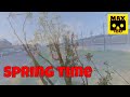 Spring time (VR180 - 3D)