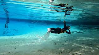 Swimming With The Fishes.