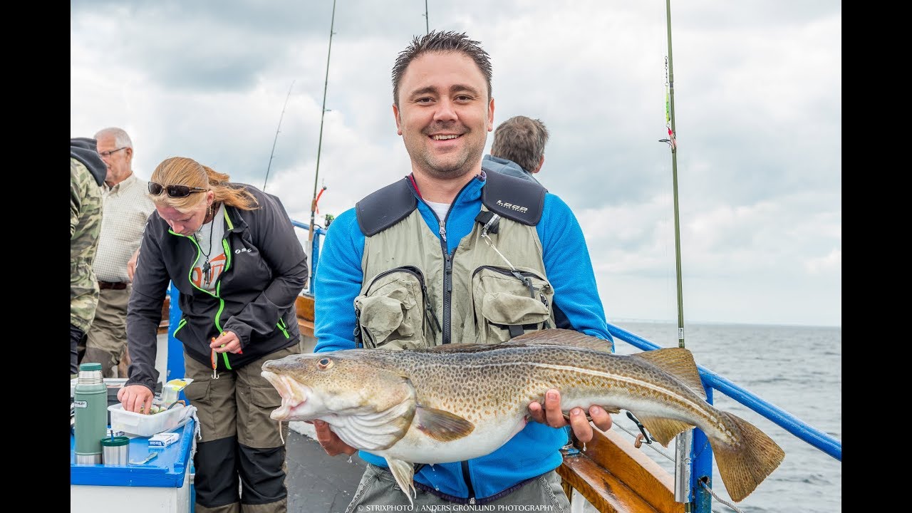 Swedish fishing club rented the AMIGO cruise ship for fishing-Strixphoto