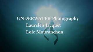 UNDERWATER Photography