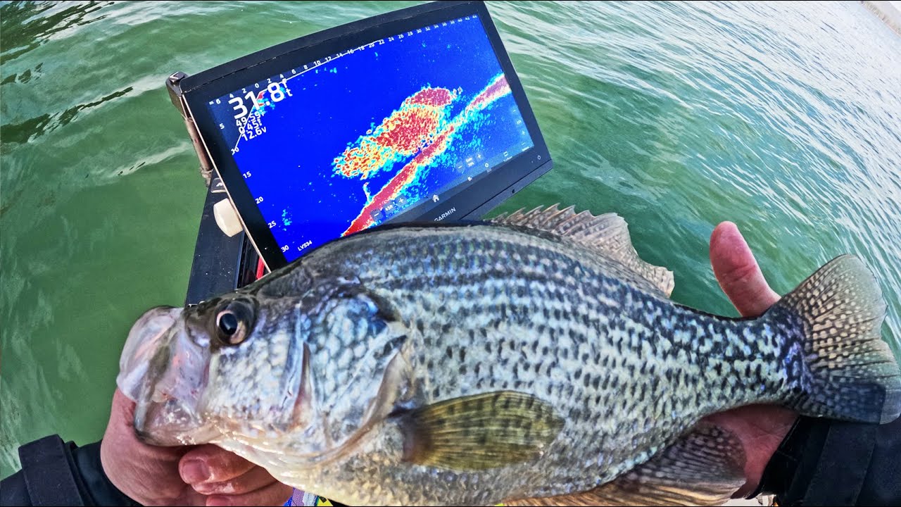 How To Make Finicky BIG CRAPPIE Commit to Your Jig! (Loaded Schools on Lake Guntersville)