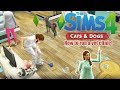 HOW TO START AND RUN A VET CLINIC! | The Sims 4 Cats and Dogs | TIps & Tricks