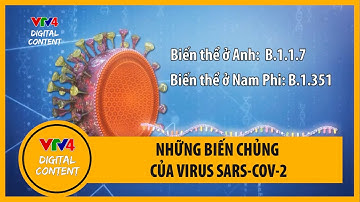 Những biến chủng của virus Sars-CoV-2 | VTV4