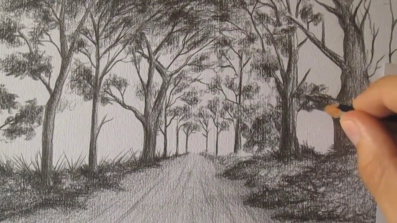 How to Draw a Landscape With Pencil Step by Step Timelapse ...