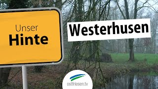 Unser Hinte Das Gibt Es In Westerhusen Alles Zu Entdecken