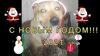 С НОВЫМ 2021 ГОДОМ!!!