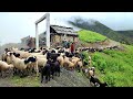 This is himalayan life  shepherd life nepal  nepal ep48 villagelifenepal  shepherd kitchen