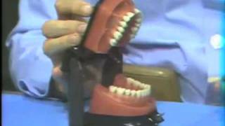 Dental Anatomy: Introduction to Waxing, Bench Set-up