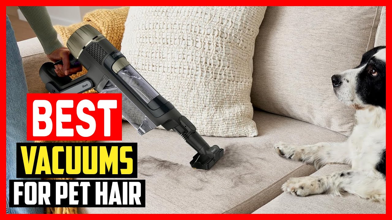 ✅ Топ-5 лучших пылесосов для уборки шерсти домашних животных в 2026 году