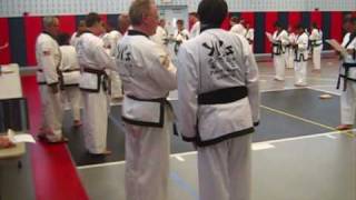Tang Soo Do Hodory - Yi's Karate Evaluation Test 10-07-10.wmv