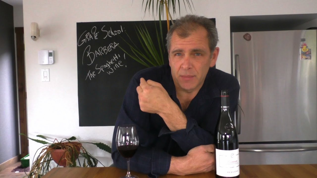 Wine grape school: Barbera