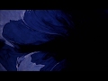 CANIVAL - ニガラ「LYRIC VIDEO」