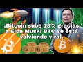 Bitcoin sube 18% gracias a Elon Musk! BTC se esta volviendo viral!