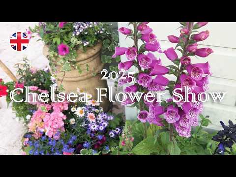 Chelsea Flower Show 2025 / World's Best Japanese Garden / Healing