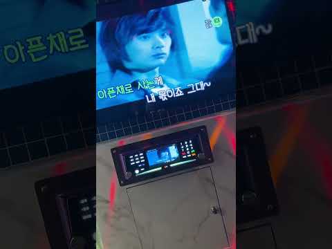 버즈-벌(일반인커버)