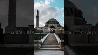 Sana Aşık Olan Kullar