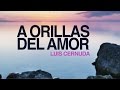 Orillas del amor - Luis Cernuda