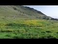 دشت میشان همدان