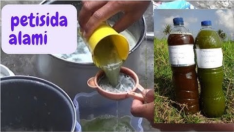 TUMPAS HABIS SEMUA HAMA - PAKAI INSEKTISIDA PEMUSNAH MASSAL,TANAMAN JADI MULUS SEMUA