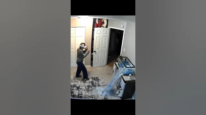 #fish #tank #breaking #vr #virtualreality #baseball #alaskaelevated