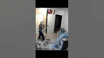 #fish #tank #breaking #vr #virtualreality #baseball #alaskaelevated