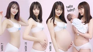 妊娠から出産までのタイムラプス【Pregnancy Transformation (Week by Week) 】