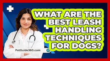 What Are The Best Leash Handling Techniques For Dogs? - PetGuide360.com