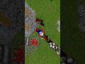 Gdzie expic na treasura online part 3 #tibia #gaming #gorgogaming #gorgo #gry #treasura