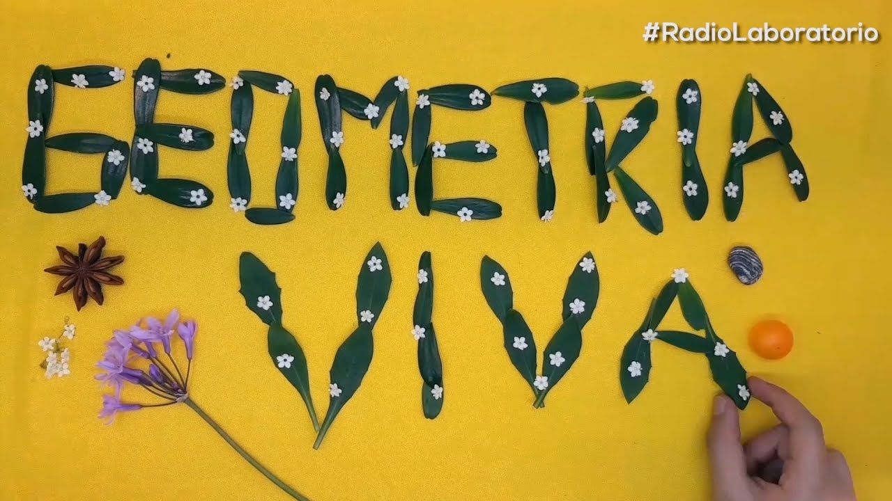 Formas Geométricas En La Naturaleza Para Niños